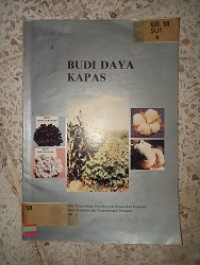 Image of budidaya kapas