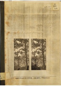 Image of HASIL PENCACAHAN SURVEI PERKEBUNAN KARET RAKYAT 1996_001