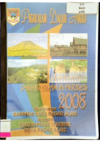 Image of PAGAR ALAM DALAM ANGKA PAGAR ALAM IN FIGURES 2008_001