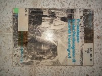 Image of PEMANTAPAN USAHA PEMBANGUNAN DI DAERAH TRANSMIGRASI