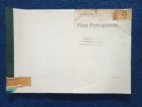 Image of PKANT PATHOGENESIS